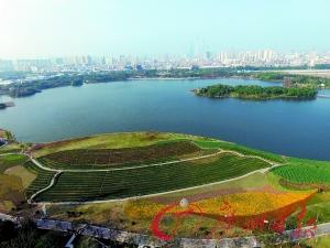 “南粵曦景”亮相廣州園博會(huì)(圖1)